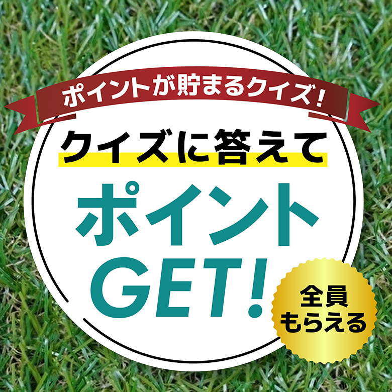 【ポイントが貯まる】たけのこクイズ