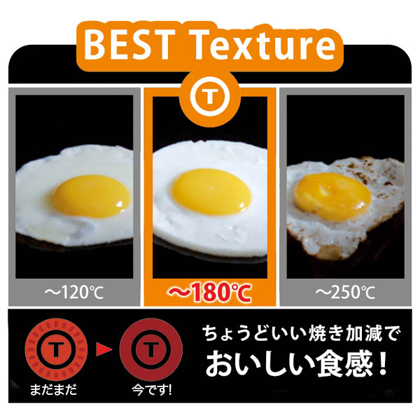 T Fal Ihルビー エクセレンス フライパン28cm 商品詳細 マイ グリーンスタンプ ポイントサービス