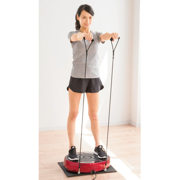 振動マシン バランスウェーブミニ アルインコ 商品詳細 マイ グリーンスタンプ ポイントサービス