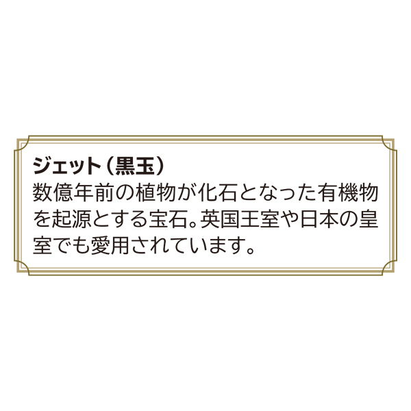 ジェット2点セット ネックレス・イヤリング