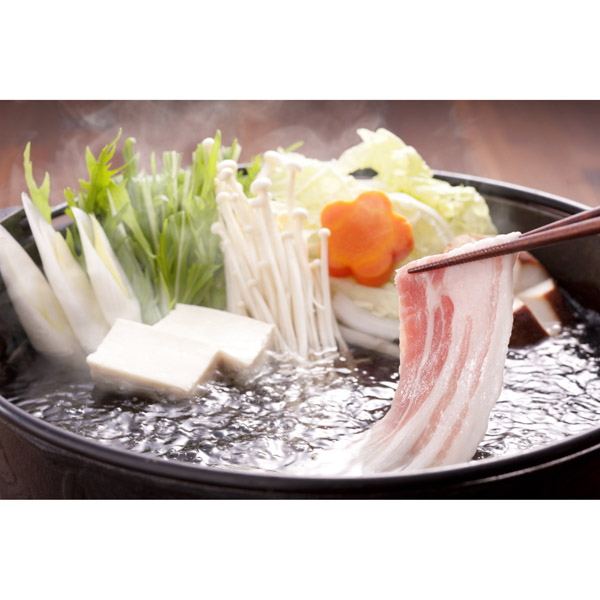 宮崎県産ひむかみやび豚4種食べ比べセット
