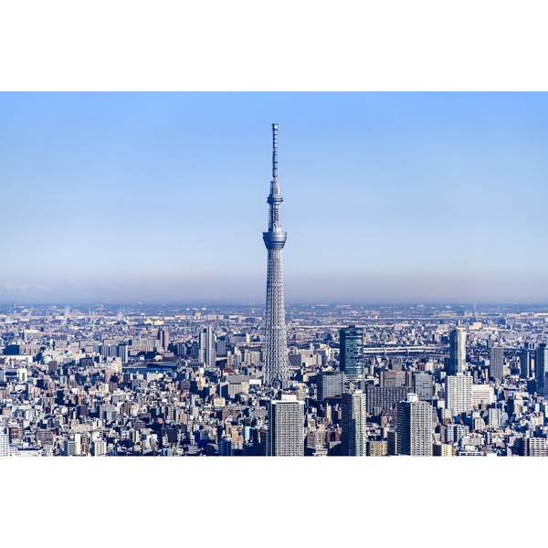 東武ホテルレバント東京　ロビーラウンジ　クリスタルムーブメント　平日限定　東京スカイツリー入館券（天望デッキ＋天望回廊）＋カフェ（ケーキセット）  大人1名様