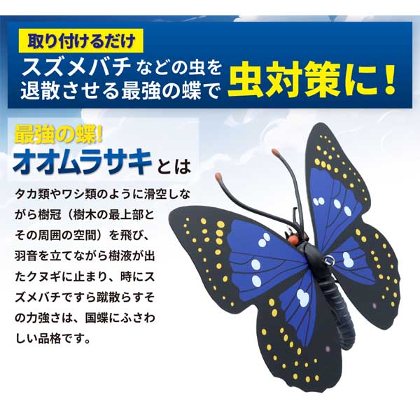 最強の蝶!オオムラサキくん